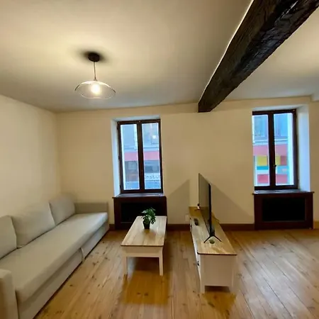 Apartment De 50m2 Au Centre De Cusset
