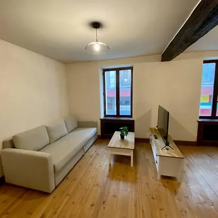 Apartment De 50m2 Au Centre De Cusset